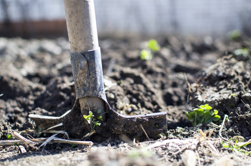 jardinerie-ANTIBES-min_equipment-2047314